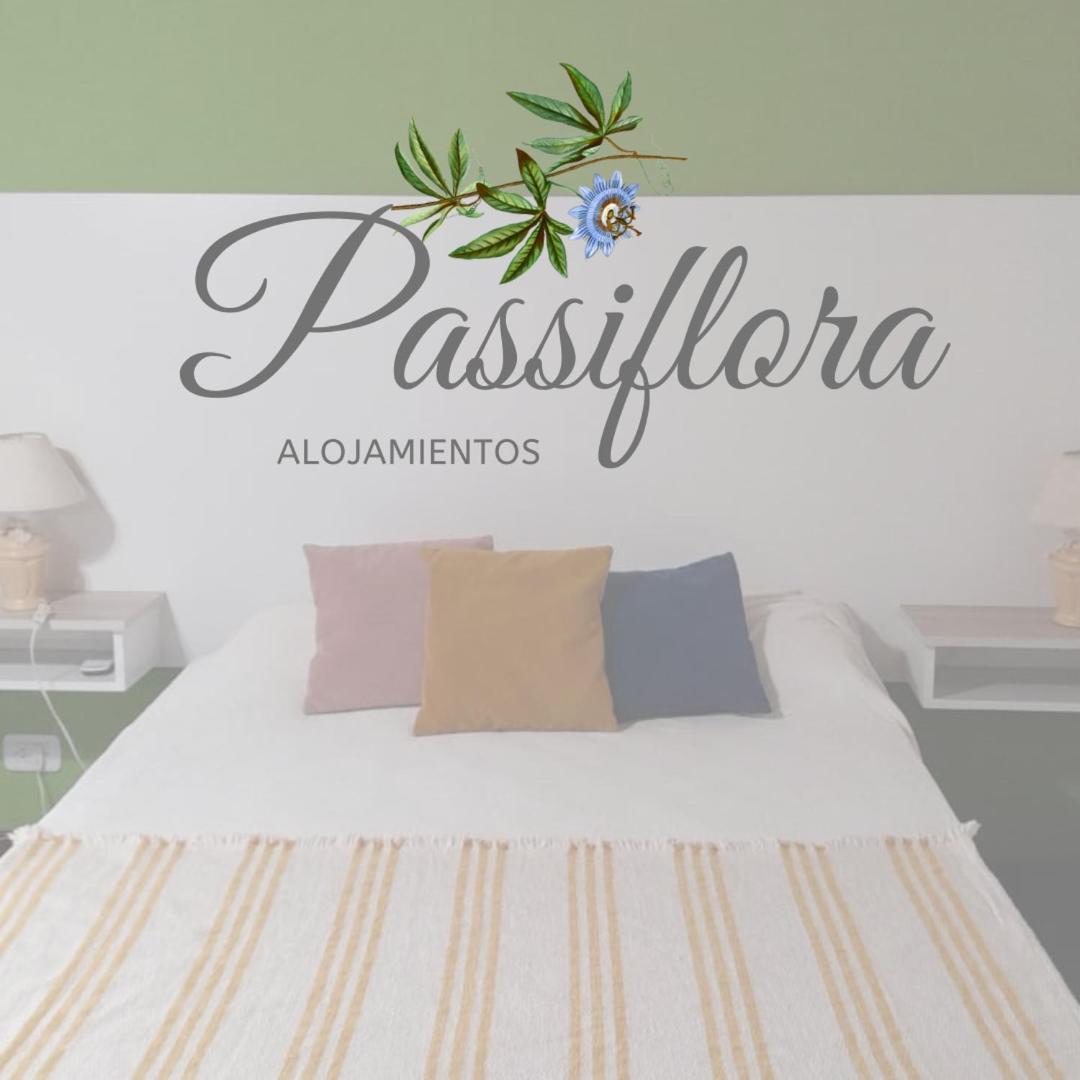 Passiflora I Apartment Villa Elisa (Entre Rios)